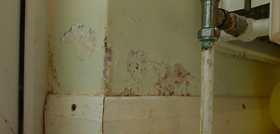 Rising Damp flaking plaster